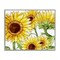 Stupell Industries Peeking Sunflower Blooms Framed Giclee, design by Kim Allen
